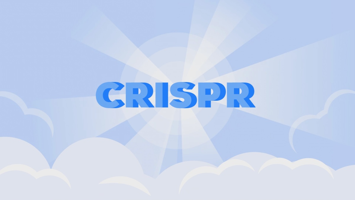 The True Power of CRISPR